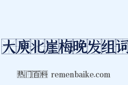 大庾北崖梅晚发组词是什么意思的图片